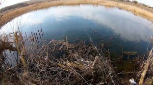 РЫБАЛКА,ловля ПЛОТВЫ на ПОПЛО-ПОПЕР