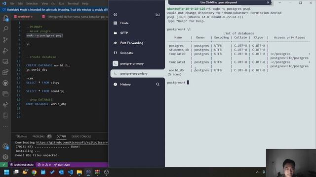 Tugas Asinkronus Pertemuan 13 : replikasi database PostgreSQL смотреть онлайн