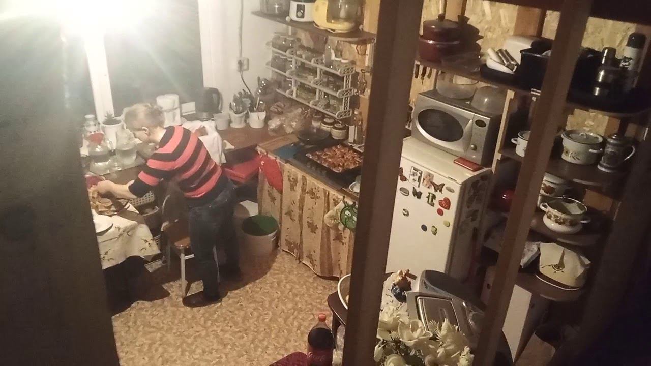 Новогодние гости