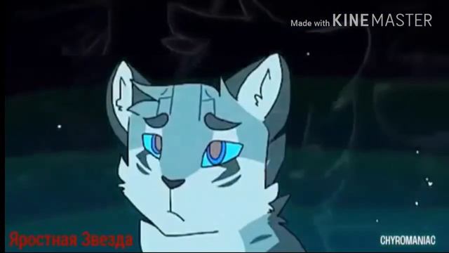 Коты воители , Воробей - ECHO смотреть онлайн