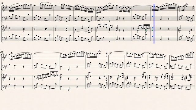 Bach, J. S._Flute Sonata e-moll, BWV 1034 [Rec, Bsn, Hch, g-moll] смотреть онлайн