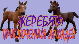 Приключение лошадей, часть 7, Жеребята
