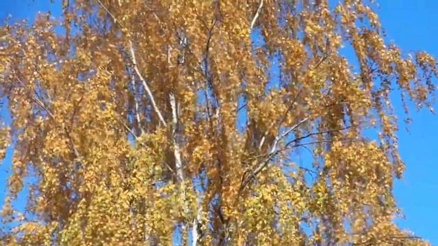 Музыка Октября муз. С. Вишниченко, сл. Н. Смирновой