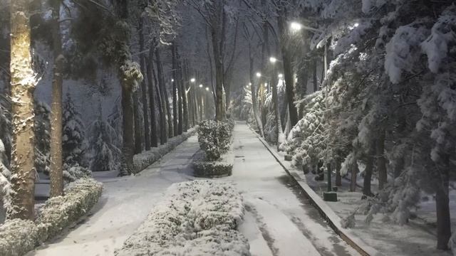 Зимистони Душанбе смотреть онлайн