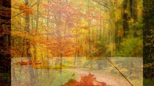 سورة إبراهيم смотреть онлайн