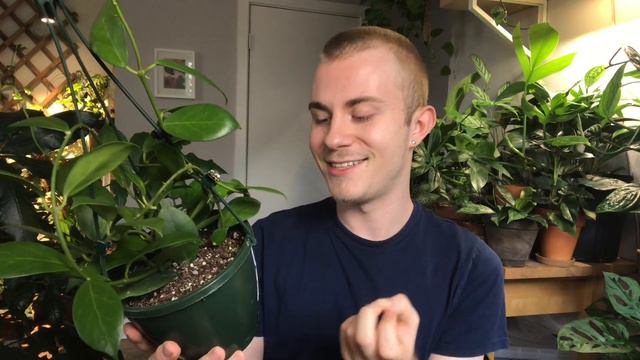 Houseplant Haul | Pepper’s Greenhouse смотреть онлайн