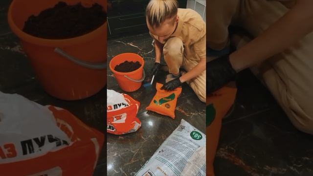 Выращиваем ГРИБЫ из СЕМЯН! Корни? Купили в магазине OBI, ГОТОВИМ ГРУНТ! Часть 2 смотреть онлайн
