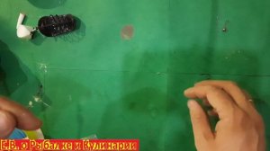 ЛУЧШИЙ МОНТАЖ С КОРМУШКОЙ ДЛЯ ЗИМНЕЙ УДОЧКИ ДЛЯ ЛОВЛИ НА ТЕЧЕНИИ ЛУЧШАЯ ЗИМНЯЯ УДОЧКА С КОРМУШКОЙ.