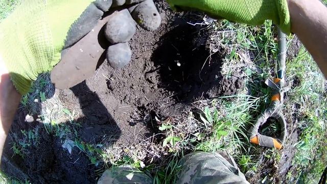 Коп с GARRETT ACE 250. Первое серебро 2019 года.Скифское украшение. смотреть онлайн