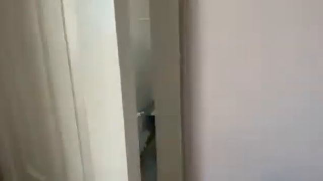 1 комнатная квартира Аксай 1а смотреть онлайн