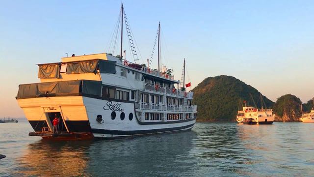 🔴 Halong Bay Vietnam Travel Vlog 🏝️ 🇻🇳 | Nathalie’s World смотреть онлайн