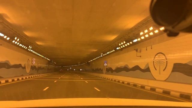 VLOG: Дубай / Прогулка по острову Palm Jumeirah / неудачная распродажа смотреть онлайн