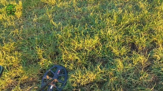 Minelab X-Terra PRO смотреть онлайн