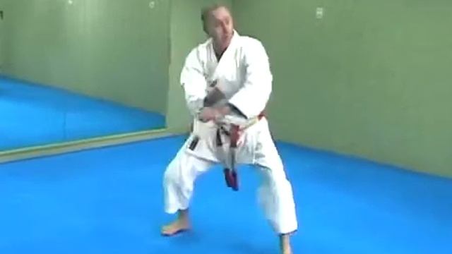 KATA SAN SAI KARATE DO GENSEI RYU смотреть онлайн