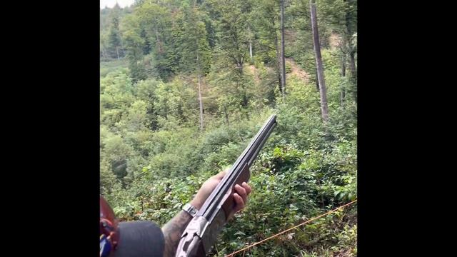 25/25 at Fitasc with world champion Ben Husthwaite. At the mighty Dornsberg. Clay pigeon shooting смотреть онлайн
