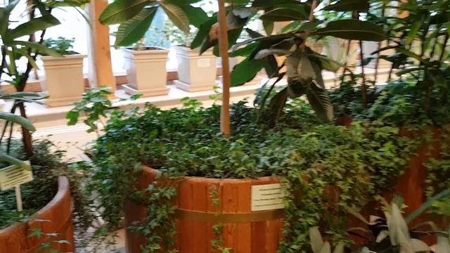 #москвацырицыно Москва. Оранжереи Цырицыно. Парк Царицыно. смотреть онлайн