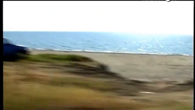 Armido Cario Racconta Falerna: Storia, Cultura E Territorio