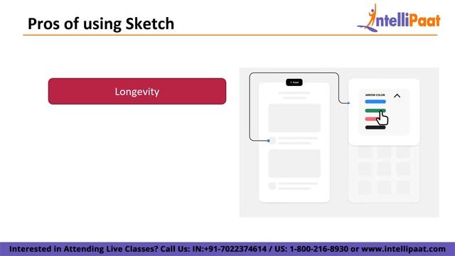 Figma Vs Sketch - Which one is better in 2023 | UI UX Tutorial | Intellipaat смотреть онлайн