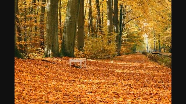 БИЛЛ ЛИВЕРСИДЖ: РЕЦЕПТ ПРОТИВ СТРЕССА 4/8 смотреть онлайн