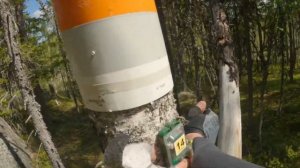 RedFox Adventure Race 2023. часть 2