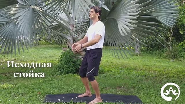 Цигун: первоэлемент Земля. Лечит желудок, селезёнку и уверенность. Пять стихий, утренний цигун. смотреть онлайн