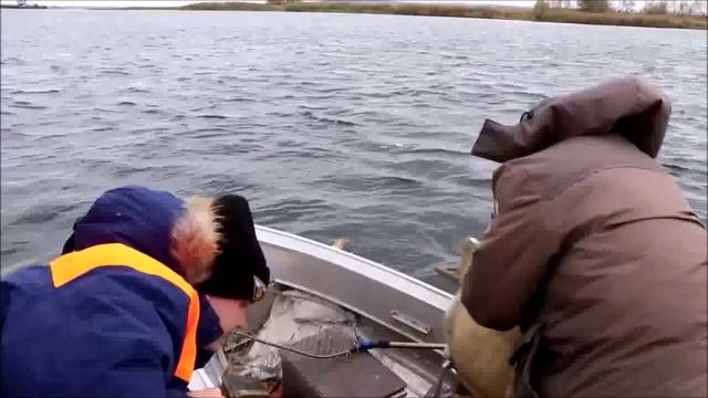 Рубрика МЧС. Саратов 24. 11.11.2022.mp4 смотреть онлайн