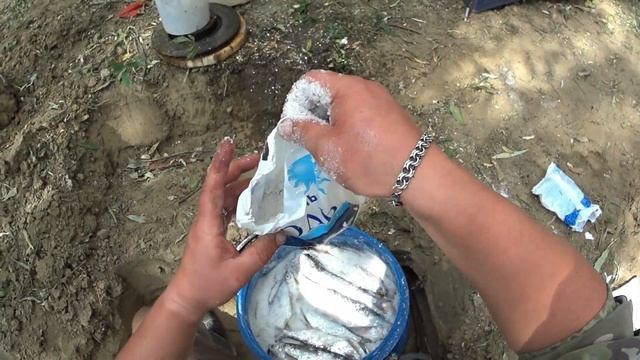 АХТУБА. ЧАСТЬ 4. ИДЁМ К ЦЕЛИ