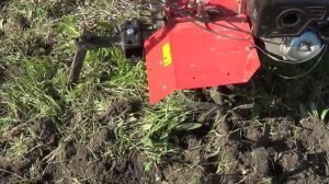 Пашем целину зверь машиной. мотоблок 15 лс в деле - сельские будни