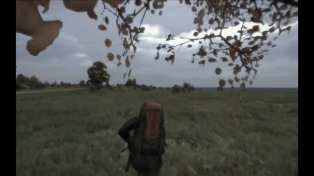DayZ Standalone | cu Darius | #7 смотреть онлайн
