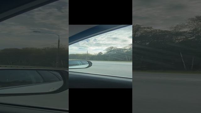 Дорога из Москвы