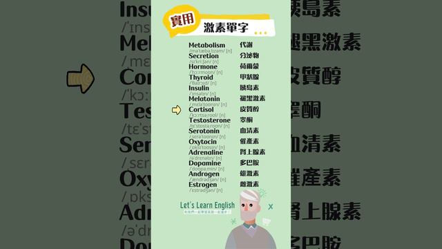 《激素單字》一起背更好記！#英語單字 #英語學習 #英語跟讀 #英文聽力 #英文单词 #學英文 смотреть онлайн