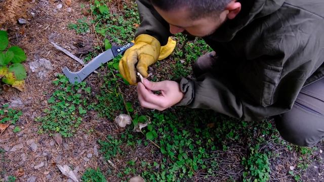 Issız Ormanda Sıcak Çadır Kampı ve Açık Hava Sineması смотреть онлайн