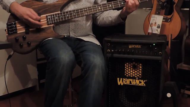 Harley Benton HBZ 2004 Bass Warwick Cube 100 Amp смотреть онлайн