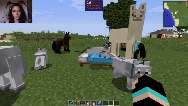 Respawnable pets mod for Minecraft 1.12.2