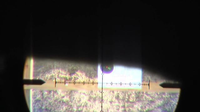 SWFA SS 5-20x50mm 100 Yard Shooting Test смотреть онлайн