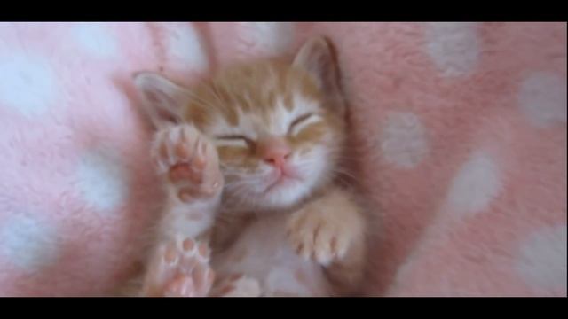 "Одиссея Гомера" Гвен Купер(отрывок) смотреть онлайн