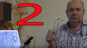 Выращивание цыплят. Ликбез 2