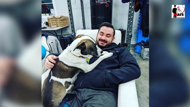 Married at First Sight: Is Chris Collette's Self-Consciousness a Sign He's Cyber Bullied? смотреть онлайн