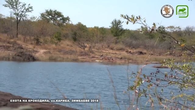 Охота на крокодила. (оз.Кариба. Зимбабве) смотреть онлайн