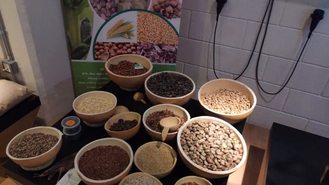 павильон кубы экспо 2020 в Дубаи смотреть онлайн