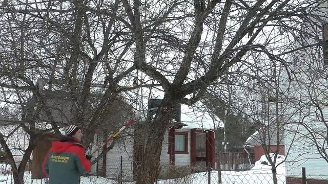Обрезка старых деревьев смотреть онлайн
