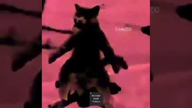 MONSTER MASH | ROBLOX MEME смотреть онлайн