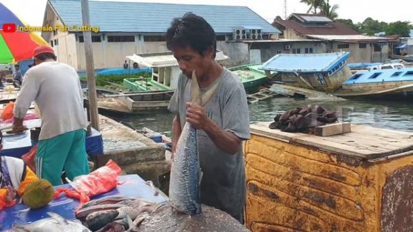 Skill Cara Potong Ikan Tola Gak Kalah Dengan Potong Ikan di Bangladesh | Indonesia Fish Cutting