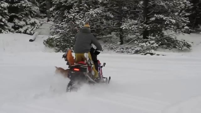 Mercedes Sprinter Winter Driving with Traction Control смотреть онлайн