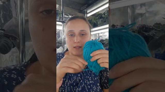 Верхний и фитильный полив. Что лучше для фиалки? Запись эфира за 17.10.21 смотреть онлайн