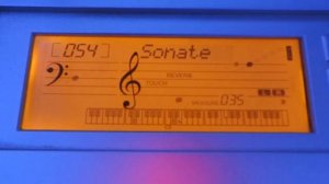 Yamaha PSR-E303/YPT-300 All 102 demo songs (high quality sound)