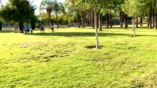 парк - прогулка - Ло Морант - parque Lo Morant Alicante смотреть онлайн