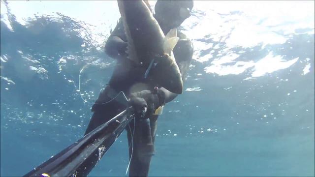 SIGAL TEAM GREECE-DEEPCARBON: Giannakopoulos Christos 3 смотреть онлайн