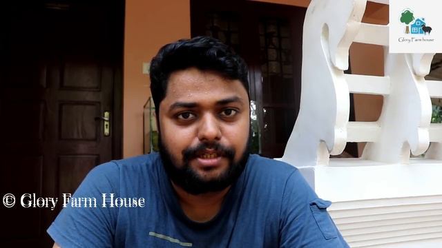 Open Pollinated Or Hybrid ഞാൻ ഏത് സീഡുകൾ വാങ്ങും | What Seed To Buy? Open Pollinated , Hybrid Or GM