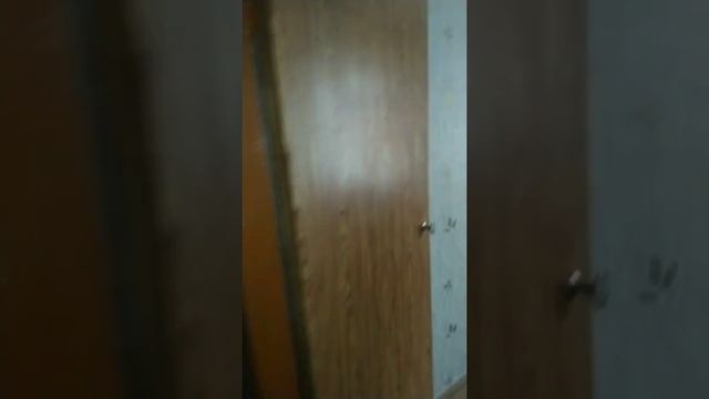 Монтаж электропроводки вторичка 5 комнат. Ходули в паре с монтажным пистолетом toua jsn 50+ смотреть онлайн